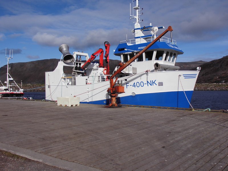 DSCI0513