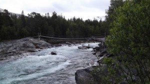DSCF2416
