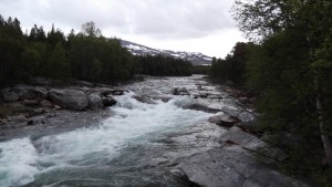 DSCF2420