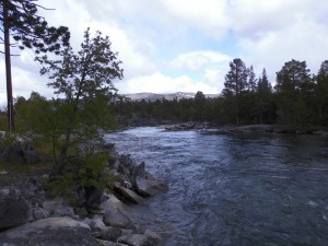 DSCI0551  