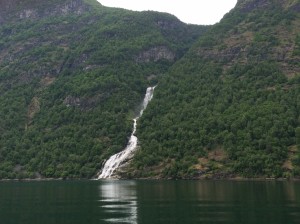 image (12)