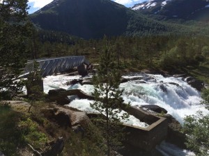 image (26)