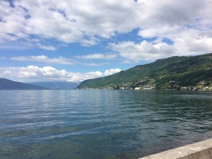 image (27)