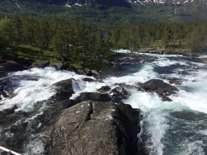 image (30)