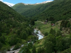 image (31)