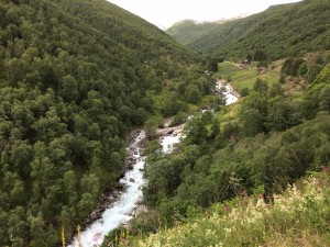 image (32)
